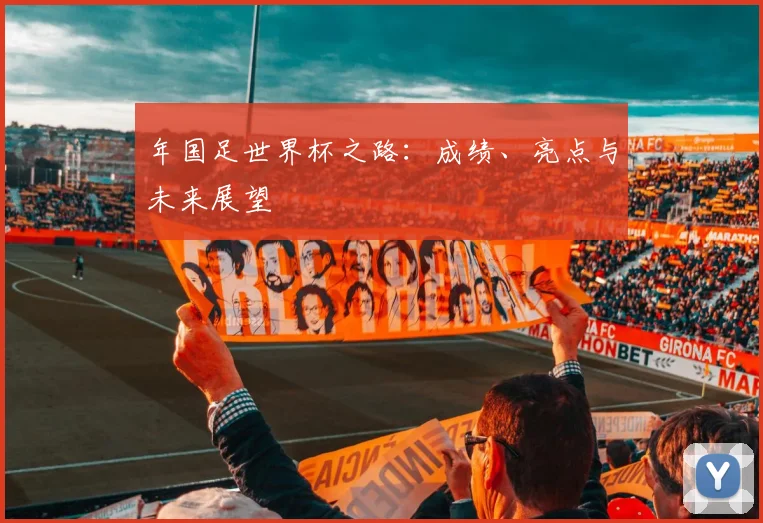 年国足世界杯之路：成绩、亮点与未来展望